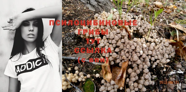 гашик Гусиноозёрск