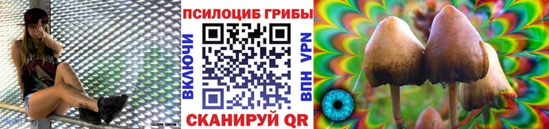 hydra сайт  Зеленодольск  Псилоцибиновые грибы мицелий 